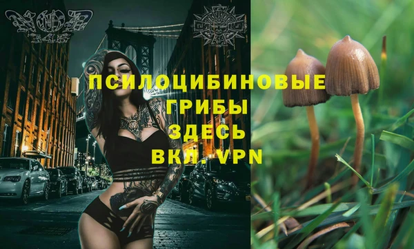 марки lsd Дмитров