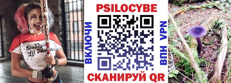 купить наркоту  Каргополь  ОМГ ОМГ как войти  Псилоцибиновые грибы прущие грибы 